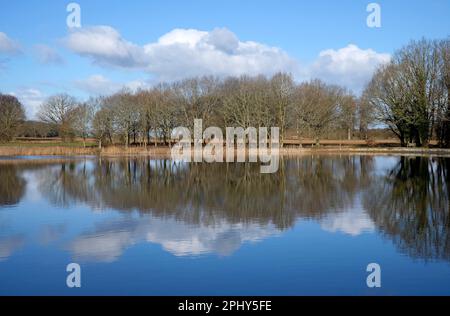 Reflexionen von Bäumen im See, blickling Park, norfolk, england Stockfoto