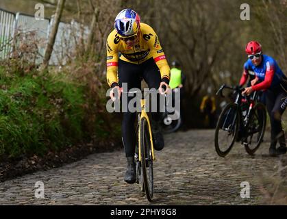 Oudenaarde, Belgien. 30. März 2023. Belgischer Wout van Aert von Team Jumbo-Visma auf dem Koppenberg während der Vorbereitungen mehrerer Teams auf der Rennstrecke vor dem Radrennen Ronde van Vlaanderen/Tour des Flandres/Tour of Flanders am Donnerstag, den 30. März 2023. Die 107. Ausgabe des Radrennen findet am Sonntag, den 02. April, statt. BELGA PHOTO DIRK WAEM Credit: Belga News Agency/Alamy Live News Stockfoto