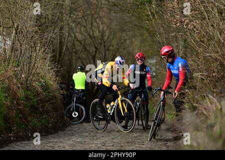 Oudenaarde, Belgien. 30. März 2023. Belgischer Wout van Aert von Team Jumbo-Visma auf dem Koppenberg während der Vorbereitungen mehrerer Teams auf der Rennstrecke vor dem Radrennen Ronde van Vlaanderen/Tour des Flandres/Tour of Flanders am Donnerstag, den 30. März 2023. Die 107. Ausgabe des Radrennen findet am Sonntag, den 02. April, statt. BELGA PHOTO DIRK WAEM Credit: Belga News Agency/Alamy Live News Stockfoto