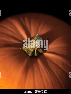 Eine hochauflösende Nahaufnahme eines reifen orangefarbenen Kürbiss, isoliert auf weißem Hintergrund Stockfoto