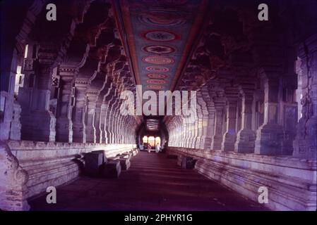 Der Ramanathaswamy-Tempel (Rāmanātasvāmi Kōyil) ist ein hinduistischer Tempel, der dem gott Shiva gewidmet ist und sich auf der Insel Rameswaram im Bundesstaat Tamil Nadu, Indien, befindet. 825 Meter Langer Korridor. Stockfoto