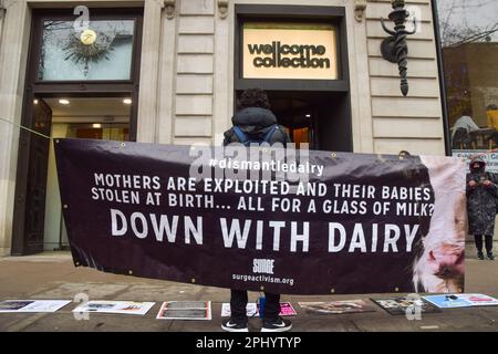 London, Großbritannien. 29. März 2023. Während der Demonstration wird ein Antimilchbanner angezeigt. Tierschützer versammelten sich vor der Wellcome Collection bei der Eröffnung der „Milch“-Ausstellung des Museums, die „unsere Beziehung zur Milch und ihren Platz in Politik, Gesellschaft und Kultur erforscht“. Kredit: SOPA Images Limited/Alamy Live News Stockfoto