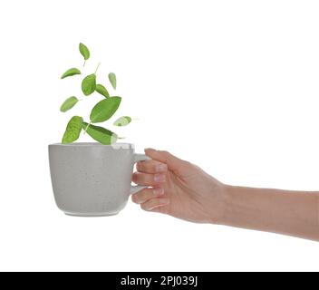 Frau mit einer Tasse aromatischen Salbeitee auf weißem Hintergrund, Nahaufnahme Stockfoto