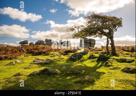 Combestone Tor, Dartmoor Stockfoto