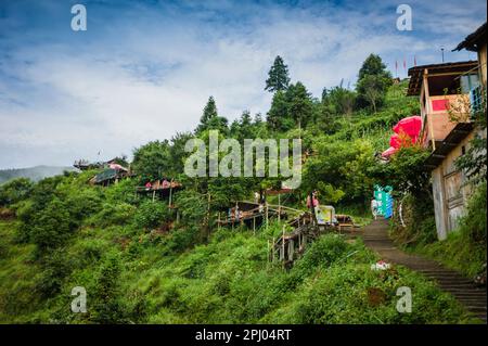 Reisterrasse, Drachenrückgrat, Longji, China Stockfoto