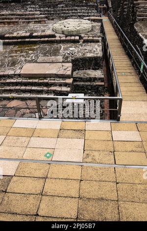 Details des Fußbodens der Azteken-Ruinen des Templo Mayor in der Innenstadt von Mexiko-Stadt, Mexiko Stockfoto