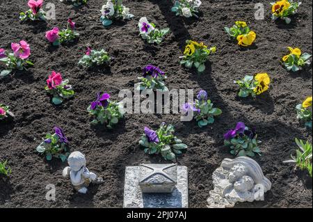 Grabdekoration mit Schwuler (Viola wittrockiana) und Putti, Allgaeu, Bayern, Deutschland Stockfoto