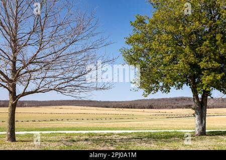 Garfield, Arkansas, Pea Ridge National Military Park. (1862) die Schlacht von Pea Ridge während des Amerikanischen Bürgerkriegs endete in der Niederlage für die Stockfoto