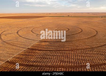 Turpin, Oklahoma, Center, Drehbewässerungsausrüstung im Frühjahr auf einem Bauernhof im Oklahoma Panhandle Stockfoto