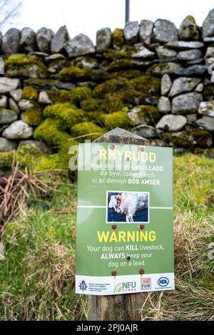Isoliertes Warnschild in walisischer Landschaft, das Hundebesitzer darauf hinweist, „Ihr Hund kann Vieh TÖTEN, halten Sie Ihren Hund IMMER auf der Spur“ Snowdonia-Nationalpark. Stockfoto