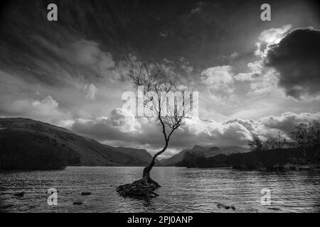 Moody, Schwarz-weiß-Landschaft über das Wasser von Llyn Padarn in Nordwales, Großbritannien. Stockfoto