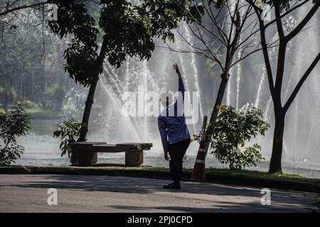 Tai-Chi-Kampfsportübung im Lumphini-Park eine große Grünfläche mit Seen und Brunnen in Bangkok ist ein beliebtes Gebiet bei Einheimischen und Besuchern gleichermaßen. Stockfoto