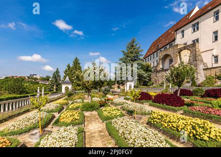 Pomeranzengarten und Schloss Leonberg im Sommer, Park, Renaissance, Leonberg, Baden-Württemberg, Deutschland Stockfoto