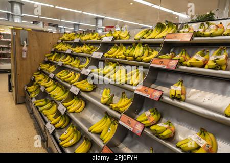 Bananen sind in einem englischen Supermarkt in Norfolk England erhältlich Stockfoto