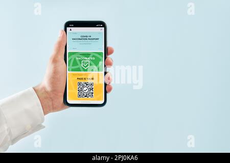 Digitales Covid-Zertifikat. Covid negativer schneller digitaler Test bestanden. Passagierin mit digitalem medizinischem Pass auf Mobiltelefon, Reisepass und Luftwaffe Stockfoto