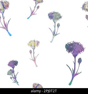 Blumen mit Aquarellstruktur. Aquarelle Feldblumen. Blumenmuster auf weißem Hintergrund. Stockfoto