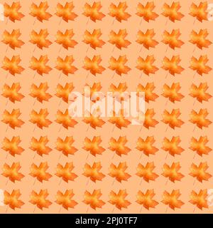 Wunderschönes, nahtloses Herbstmuster Ahornblätter in Ahornfarben isoliert auf weißem Hintergrund Stockfoto