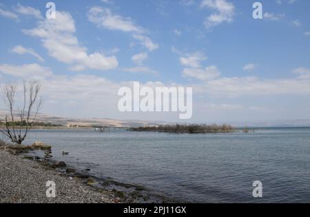 Convenience Beach in der Nähe des Naturschutzgebiets Arbel an der Westküste des Sees Galiläa, Israel Stockfoto