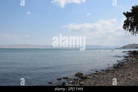 Convenience Beach in der Nähe des Naturschutzgebiets Arbel an der Westküste des Sees Galiläa, Israel Stockfoto