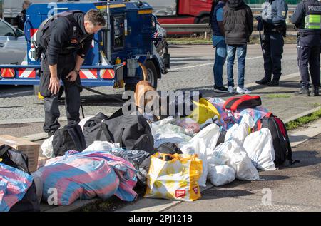 Aachen, Deutschland. 30. März 2023. Ein Polizist mit einem Hund schnüffelt nach Reisenden. In der deutsch-niederländisch-belgischen Grenzregion in der Nähe von Aachen fand am Donnerstag eine Kontrollaktion mit Beamten aus allen drei Ländern statt. (An dpa: 'Kontrollmaßnahme in Grenzregion mit Polizei aus Belgien und Holland') Kredit: Ralf Roeger/dpa/Alamy Live News Stockfoto