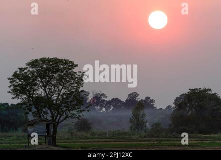 Nakhon Sawan, Thailand. 30. März 2023. Im Sommer ging die Sonne über einer Hütte auf einem Reisfeld in der Provinz Nakhon Sawan, nördlich von Bangkok, unter. (Foto: Chaiwat Subprasom/SOPA Images/Sipa USA) Guthaben: SIPA USA/Alamy Live News Stockfoto