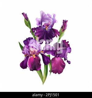 Ein Strauß von Aquarellen. Handgezeichnete Blumenzeichnung, lila Blumen isoliert auf weißem Hintergrund. Aquarelle Blumenkomposition zur Begrüßung Stockfoto