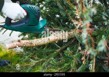 Gartenarbeit im Herbst und Winter. Ein Teenager sägt einen alten Weihnachtsbaum mit einer elektrischen Säge und schneidet Äste. Stockfoto