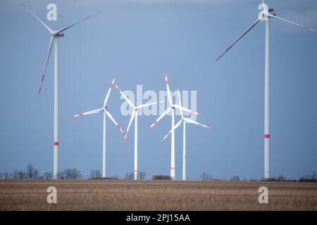 30. März 2023, Mecklenburg-Vorpommern, Völschow: Windkraftanlagen stehen bei sonnigem Wetter auf einem Feld. Nächsten Freitag wird das Wetter gemischt sein, mit möglichen Gewittern. Foto: Stefan Sauer/dpa Stockfoto