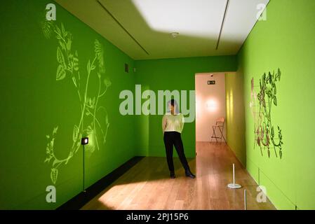 Die Künstler Anita Quayyum Agha und Sue Wickison präsentieren im April neue Werke in der Shirley Sherwood Gallery of Botanical Art Kew GAardens . Diese Tandemausstellung befasst sich mit Themen des Glaubens und des kulturellen Austauschs und schafft eine einzigartige Ausstellung atemberaubender zeitgenössischer Skulpturenarbeiten zusammen mit Details botanischer Aquarellgemälde . Jedes Kunstwerk bietet Besuchern die Möglichkeit , eine Pause einzulegen , über die natürliche Welt nachzudenken und darüber zu meditieren , wie sie sich in verschiedenen Kunstformen wiederfindet , und ihre eigene Verbindung zur Natur zu schätzen , wenn sie Schutz braucht . Stockfoto