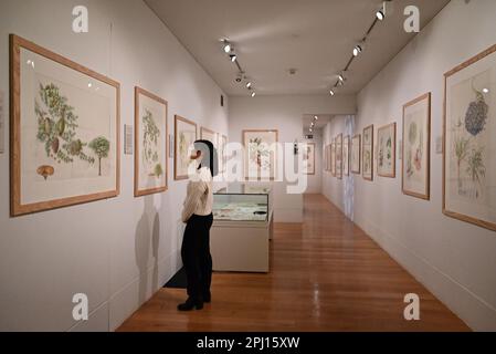 Die Künstler Anita Quayyum Agha und Sue Wickison präsentieren im April neue Werke in der Shirley Sherwood Gallery of Botanical Art Kew GAardens . Diese Tandemausstellung befasst sich mit Themen des Glaubens und des kulturellen Austauschs und schafft eine einzigartige Ausstellung atemberaubender zeitgenössischer Skulpturenarbeiten zusammen mit Details botanischer Aquarellgemälde . Jedes Kunstwerk bietet Besuchern die Möglichkeit , eine Pause einzulegen , über die natürliche Welt nachzudenken und darüber zu meditieren , wie sie sich in verschiedenen Kunstformen wiederfindet , und ihre eigene Verbindung zur Natur zu schätzen , wenn sie Schutz braucht . Stockfoto