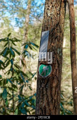 Gut gekennzeichneter Pfad im Wald beide Metallmarkierungen wurden an einen Baum genagelt, einer ist ein Wanderweg und der weiße Marker gibt an, auf welchem Pfad Sie sich befinden Stockfoto