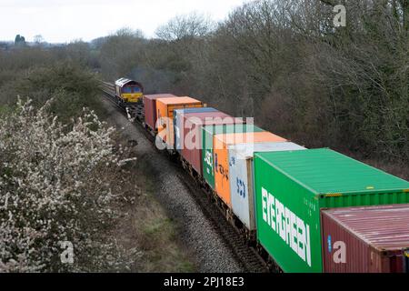 DB-Klasse 66 Diesellokomotive Nr. 66098, die einen intermodalen Zug zieht, Shrewley, Warwickshire, Vereinigtes Königreich Stockfoto