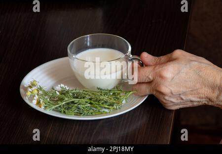 Die alte Hand hält eine Tasse Milch in der Nähe von Gänseblümchen an einem Tisch Stockfoto