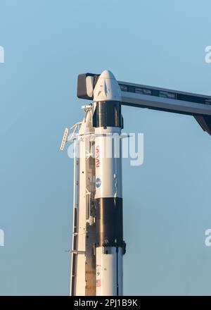 SpaceX Falcon 9 mit NASA Crew-6 Crew Dragon Capsule Stockfoto