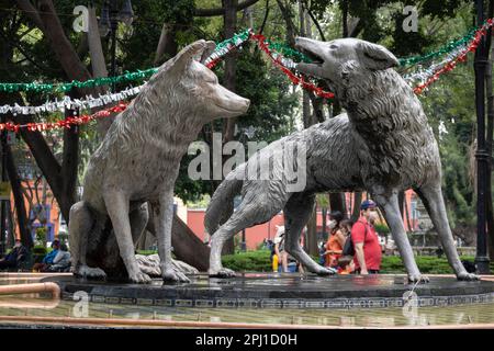 Nahaufnahme des Kojotenbrunnens in der Mitte eines Gartens in Mexiko Stockfoto