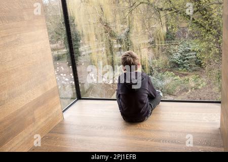 Ein Blick von hinten auf einen kleinen Jungen, der sich mit gekreuzten Beinen aus einem großen Glasfenster auf Baumhöhe setzt. Stockfoto