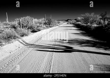 Dirt Road Sonora Wüste in Infrarot Zentral Arizona USA Stockfoto