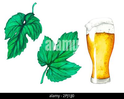 Ein Glas Bier, Hopfen und Blätter. Aquarell handgezeichnete Malerei Illustration isoliert auf weißem Hintergrund. Stockfoto