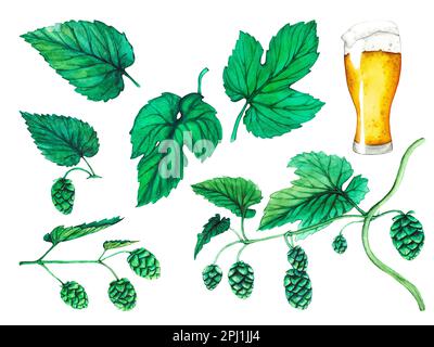 Ein Glas Bier, Hopfen und Blätter. Aquarell handgezeichnete Malerei Illustration isoliert auf weißem Hintergrund. Stockfoto