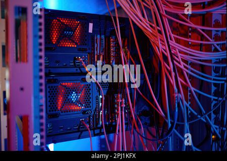 Netzwerk-Panel, Switch und Kabel im Rechenzentrum mit Neonlicht Stockfoto
