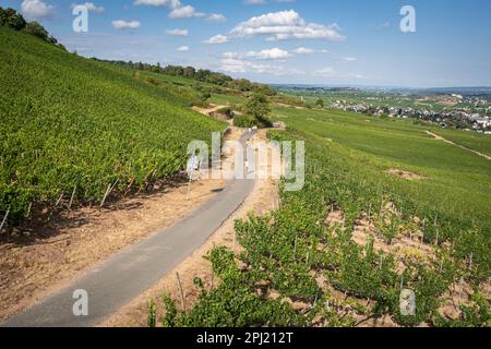 Wunderschöne Landschaft mit Hügeln und Weinbergen über Rüdesheim am Rhein im Rheintal Stockfoto