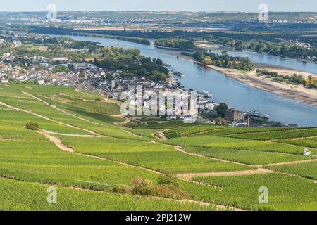 Wunderschöne Landschaft mit Hügeln und Weinbergen über Rüdesheim am Rhein im Rheintal Stockfoto