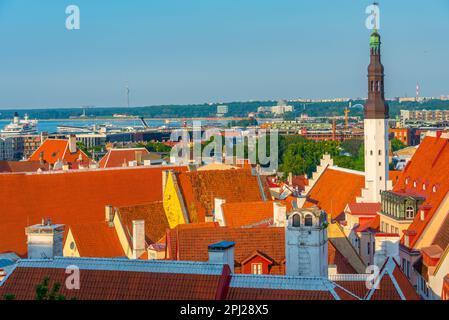 Tallinn, Estland, 29. Juni 2022: Luftaufnahme von Tallinn vom Hügel Toompea, Estland. Stockfoto