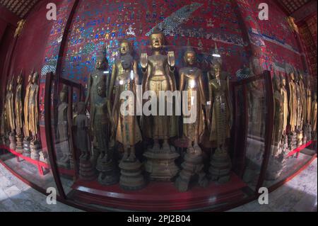 Eine Gruppe antiker Buddha-Bilder verschiedener Größen befindet sich in der Chariot Hall in Wat Xieng Thong und ist eines der schönsten und reichhaltigsten dekorierten Laos. Stockfoto