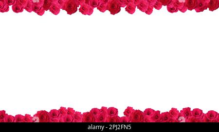 Rahmen aus roten Rosen, isoliert auf weißem Hintergrund. Platz für Text Stockfoto