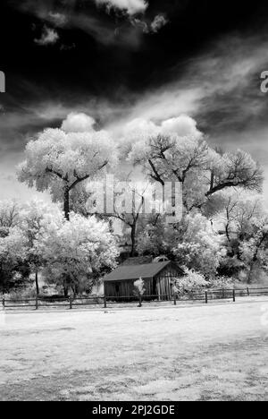 Infrarot verlassenen Bauernhaus Sedona Arizona Morgenlicht Stockfoto