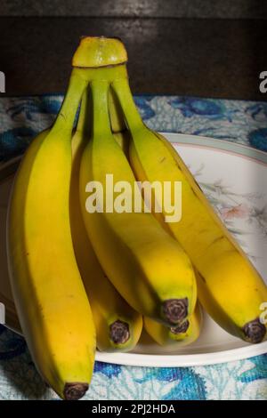 Bananen sind eine langanhaltende essbare Frucht - botanisch eine Beere. Gesunde organische kaliumreiche Bananen! Stockfoto