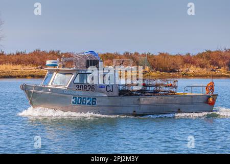 Krabbenboot, das zum Hafen in Steveston, British Columbia, Kanada, zurückkehrt Stockfoto