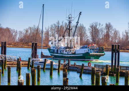 Krabbenboot, das zum Hafen in Steveston, British Columbia, Kanada, zurückkehrt Stockfoto