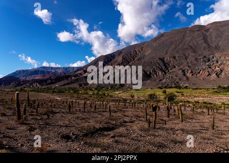 Zerklüftete Berglandschaft von der Ruta 51 auf dem Weg nach Salta, Provinz Salta, Argentinien Stockfoto